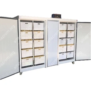 Проращиватель семян, бобов, злаков BSC-300A Foodatlas