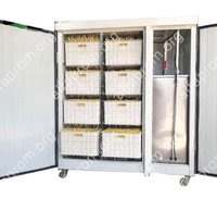 Проращиватель семян, бобов, злаков BSC-150A Foodatlas