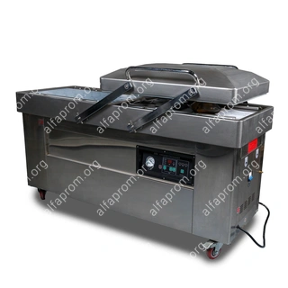 Напольная двухкамерная вакуум-упаковочная машина DZQ-700/2SB (нерж., газ)